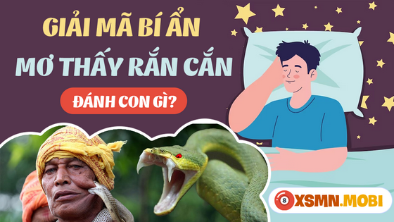 Ngủ mơ thấy bị rắn cắn đánh số gì? - Giải mã điềm báo mơ thấy rắn cắn