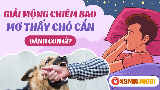 Ngủ mơ thấy bị chó cắn đánh số mấy - Giải mã điềm báo mơ thấy chó cắn