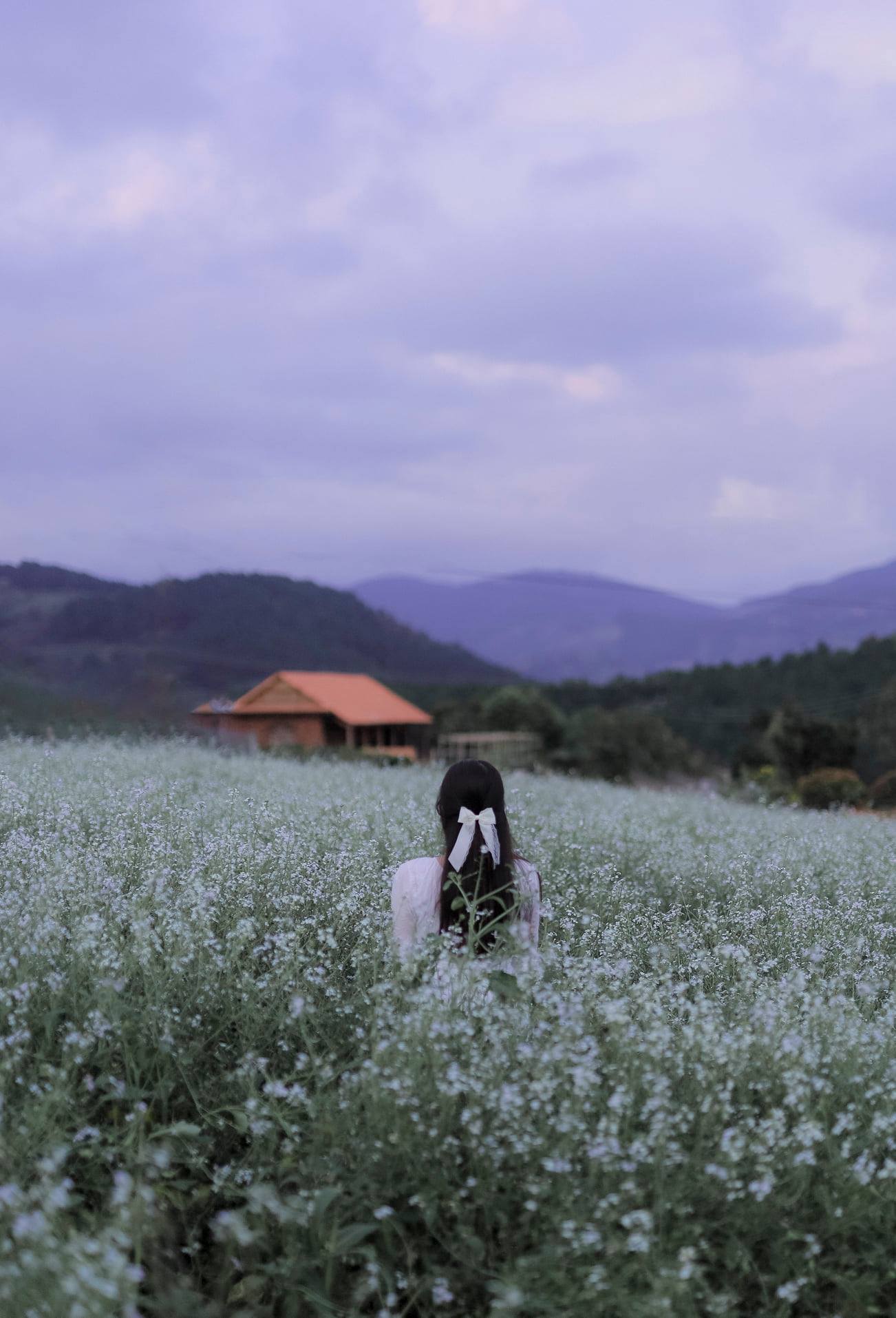 Khám phá vẻ đẹp tinh tế của ảnh chill hoa đẹp nhất