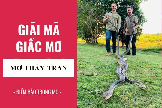 Nằm mơ thấy trăn: Điềm báo và những bí ẩn trong tương lai