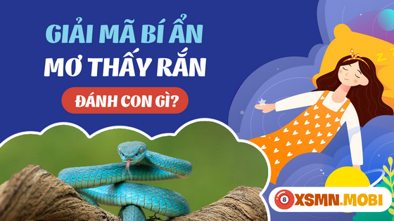 Ngủ mơ thấy rắn đánh số gì? - Giải mã điềm báo mơ thấy rắn