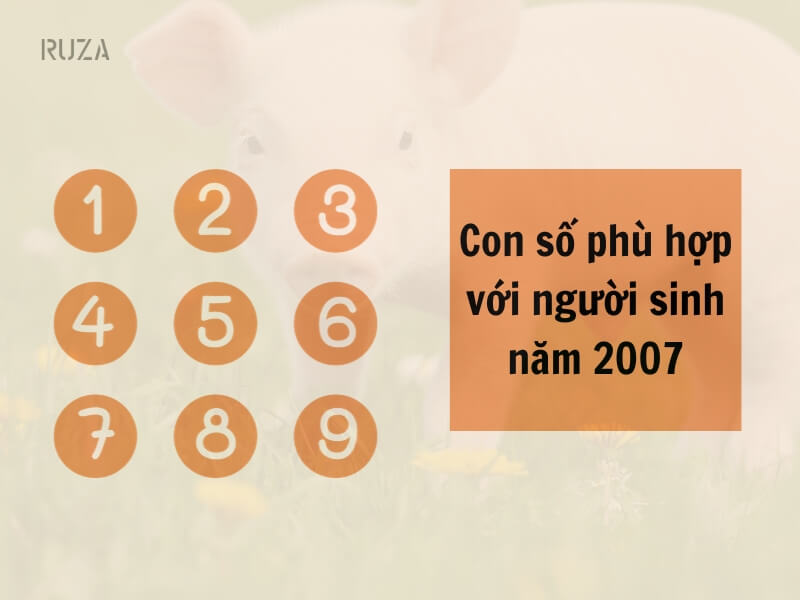 Tuổi Đinh Hợi 2007 Mệnh Gì? Hợp Với Tuổi Gì, Hợp Màu Gì?