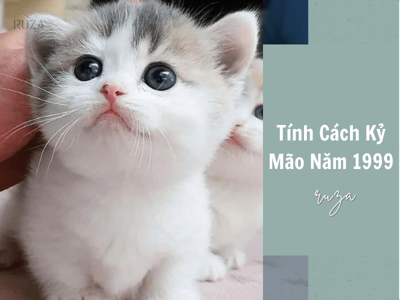 Tuổi Kỷ Mão 1999 Mệnh Gì? Hợp Với Tuổi Gì, Hợp Màu Gì?