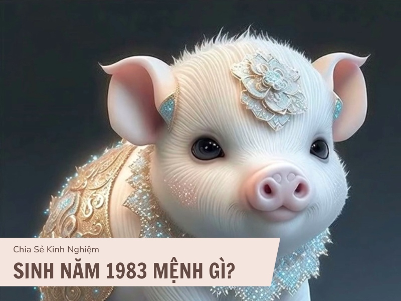 Tuổi Quý Hợi 1983 Mệnh Gì? Hợp Với Màu Gì, Hợp Tuổi Gì?