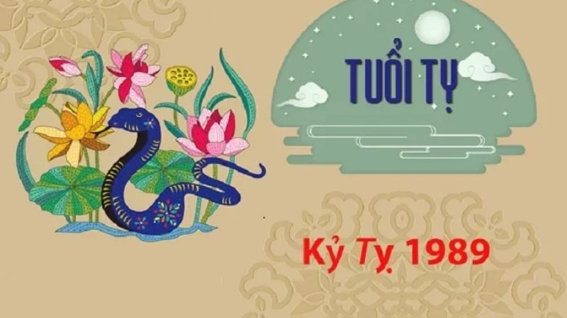 Sinh năm 1989 mệnh gì? Tuổi Con gì? Con số và màu hợp