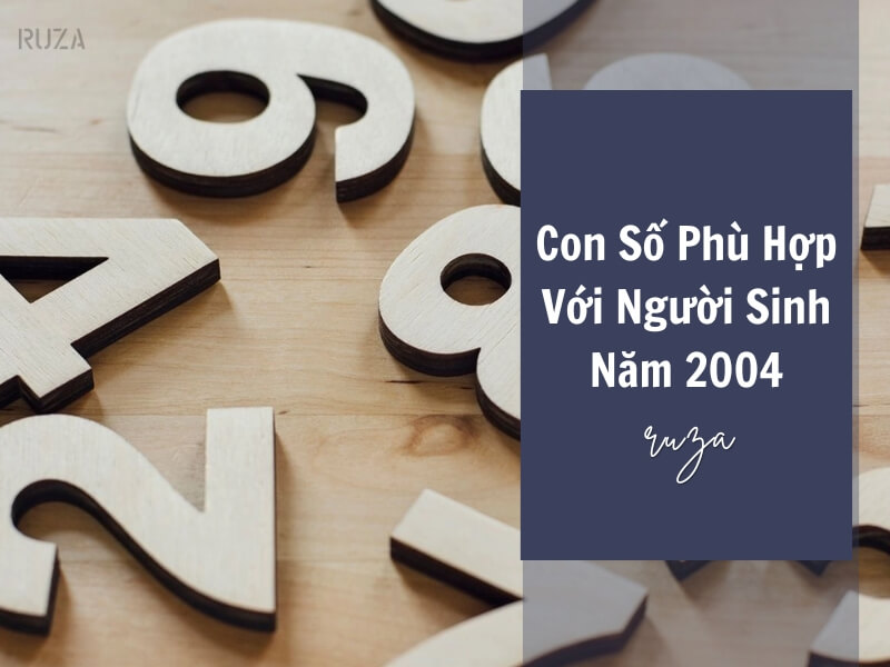 Tuổi Giáp Thân 2004 Mệnh Gì? Hợp Với Tuổi Gì, Hợp Màu Gì?