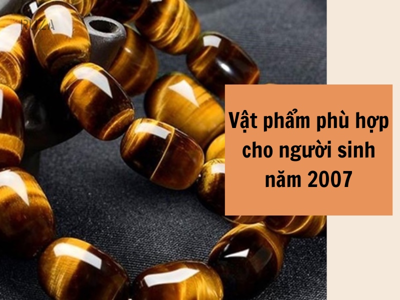 Tuổi Đinh Hợi 2007 Mệnh Gì? Hợp Với Tuổi Gì, Hợp Màu Gì?