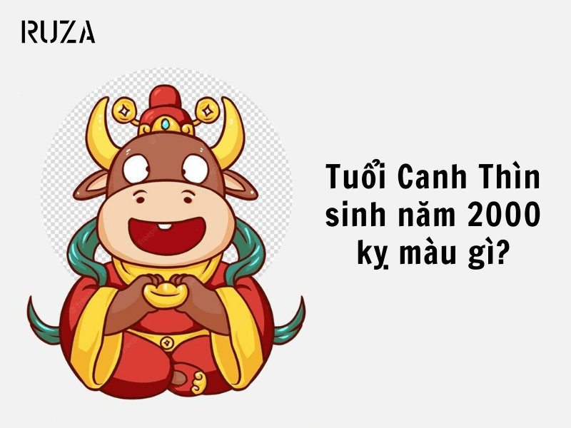 Tuổi Canh Thìn 2000 Mệnh Gì? Hợp Với Tuổi Gì, Hợp Màu Gì?