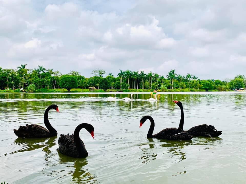 Review khu vui chơi Ecopark Hưng Yên