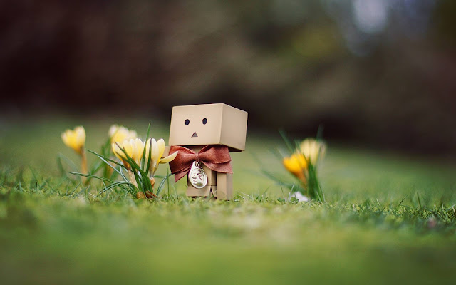 +50 Hình Ảnh Người Gỗ Danbo Buồn Tâm Trạng Dành Cho FA