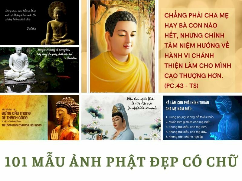 TOP 100+ tải hình nền phật chất lượng cao tải về máy miễn phí