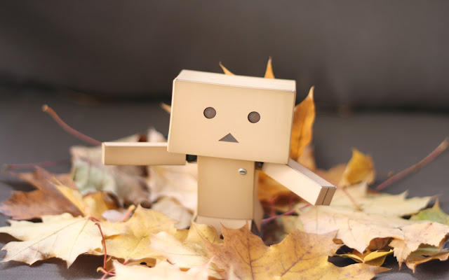 +50 Hình Ảnh Người Gỗ Danbo Buồn Tâm Trạng Dành Cho FA