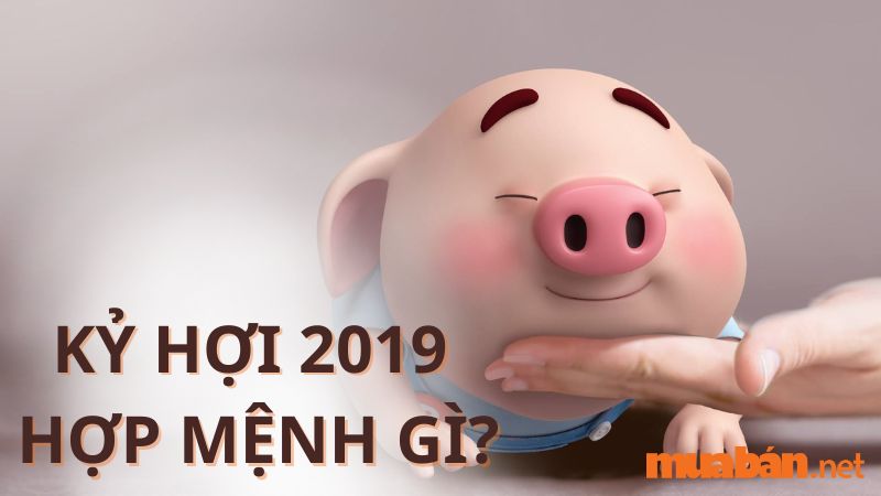 Sinh năm 2019 mệnh gì? Hợp và kỵ màu gì? Hướng nào tốt?