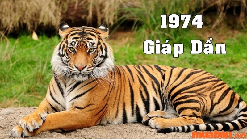 Sinh năm 1974 mệnh gì? Giáp Dần hợp màu gì, tuổi nào, hướng nào?