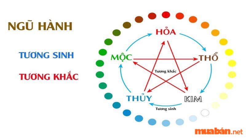 Nhâm Dần 2022 mệnh gì? Tất tần tật tử vi em bé sinh năm 2022