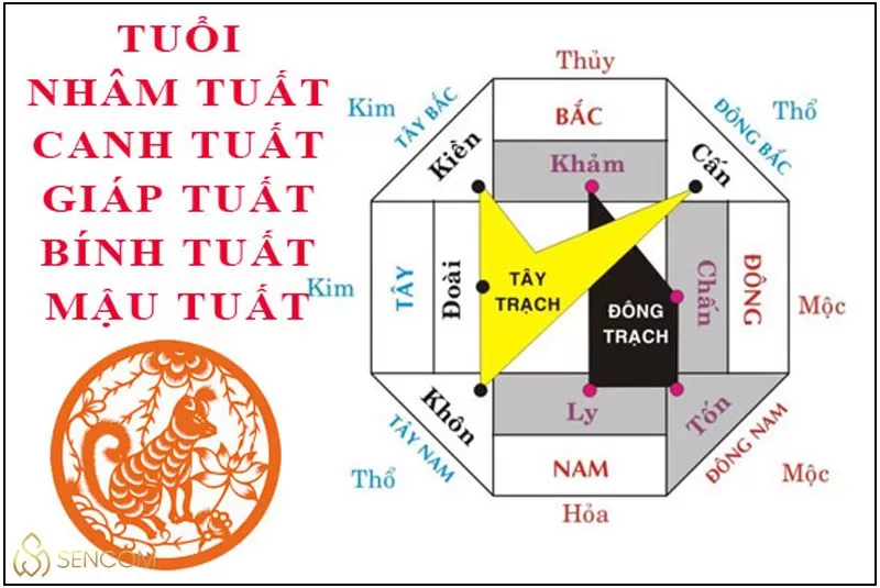 Sinh năm 2018 mệnh gì? Tử vi trọn đời Mậu Tuất sinh năm 2018 