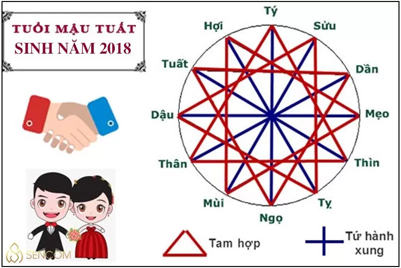 Sinh năm 2018 mệnh gì? Tử vi trọn đời Mậu Tuất sinh năm 2018 