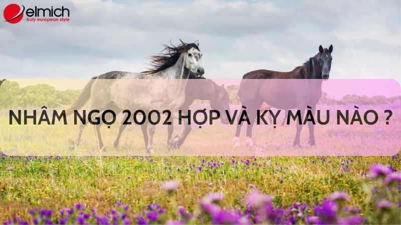 Bật mí chi tiết tuổi Ngọ hợp màu gì và kỵ màu nào 2024