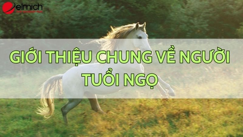 Bật mí chi tiết tuổi Ngọ hợp màu gì và kỵ màu nào 2024