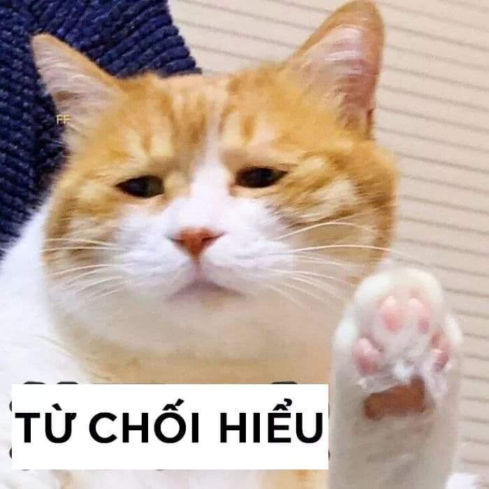 Danh sách meme bất lực vui nhộn