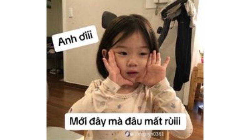 Tổng hợp 100 ảnh meme hài bựa, gây cười “bể bụng”