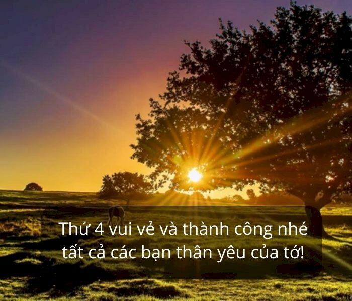 101 ảnh chúc thứ 4 thành công đẹp, ý nghĩa, chất lượng cao, tải miễn phí