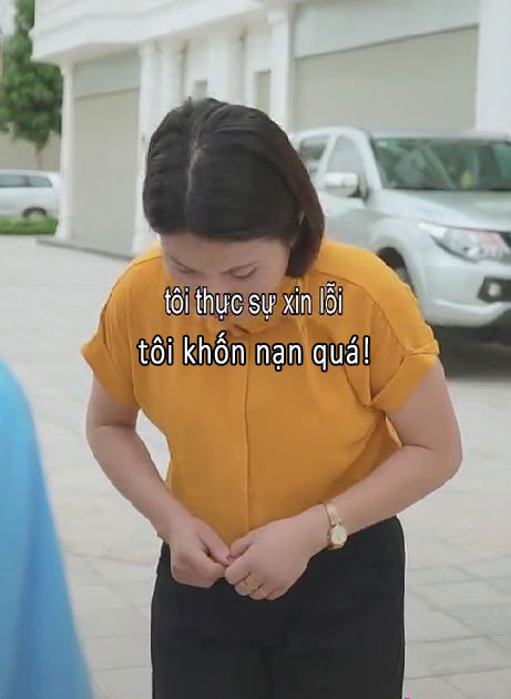 Bộ sưu tập meme xin lỗi đáng yêu, dễ thương và hài hước