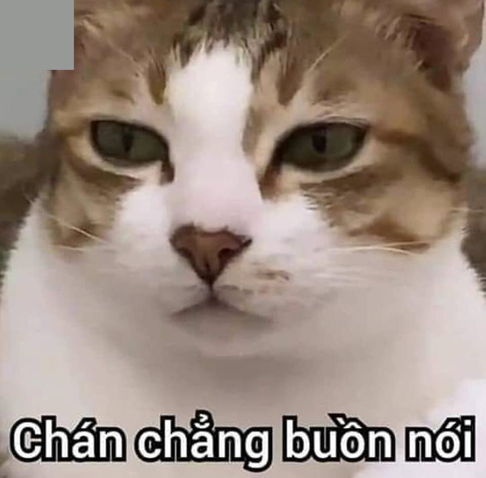 Tổng hợp meme bất lực cực hài hước