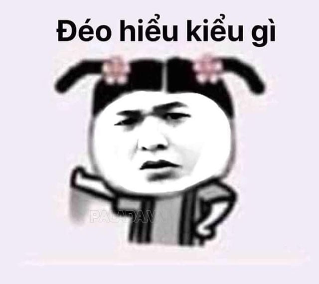 Bộ sưu tập meme không giới hạn, từ chối mọi thứ, và hết sức bựa