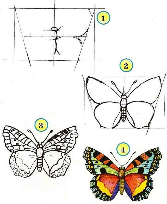 Tổng hợp các cách vẽ con Bướm đơn giản, đẹp nhất ai cũng “mê mẩn”