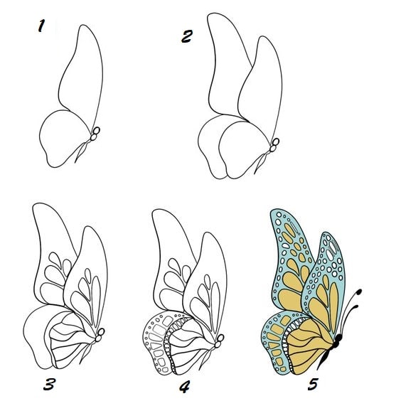 Tổng hợp các cách vẽ con Bướm đơn giản, đẹp nhất ai cũng “mê mẩn”