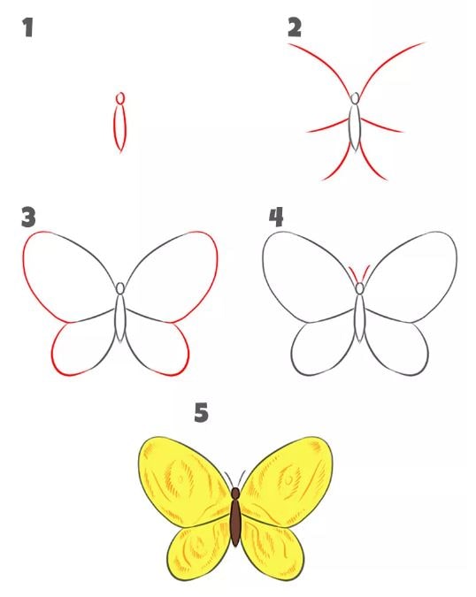 Tổng hợp các cách vẽ con Bướm đơn giản, đẹp nhất ai cũng “mê mẩn”