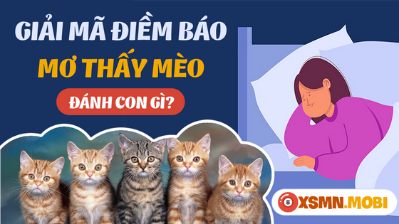 Ngủ mơ thấy con mèo có ý nghĩa tiên tri điều gì?