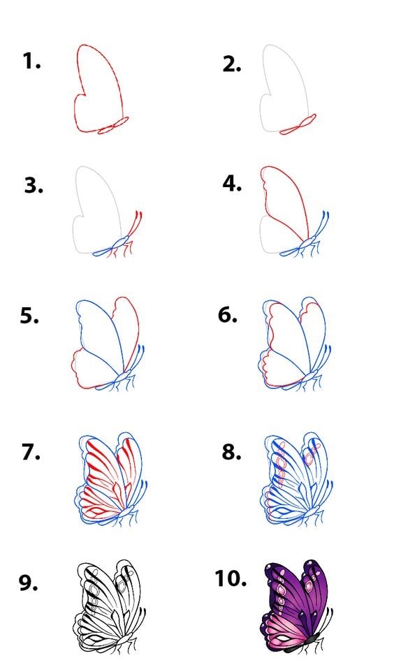 Tổng hợp các cách vẽ con Bướm đơn giản, đẹp nhất ai cũng “mê mẩn”