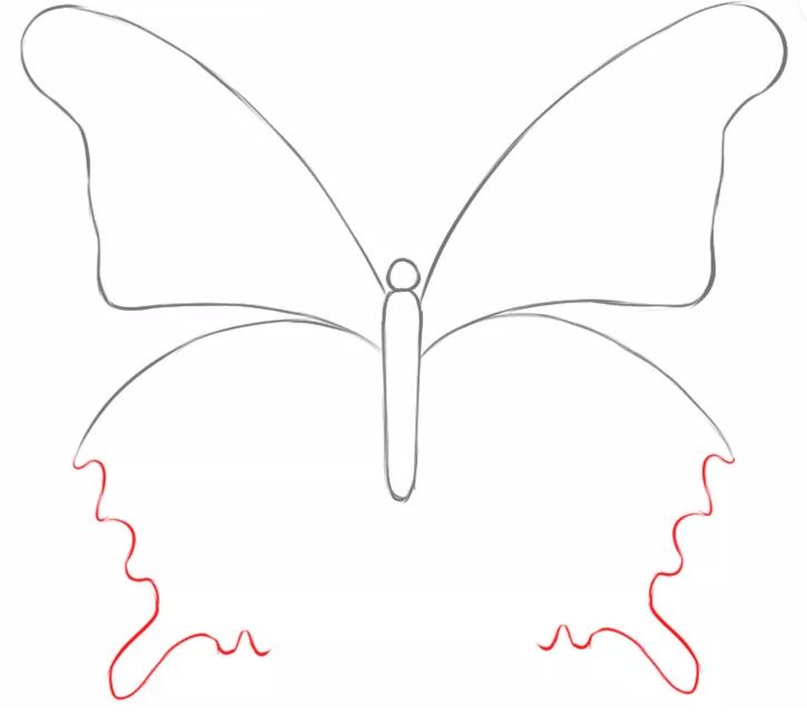 Tổng hợp các cách vẽ con Bướm đơn giản, đẹp nhất ai cũng “mê mẩn”