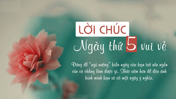 Ảnh chúc ngày mới tốt lành và đẹp mắt