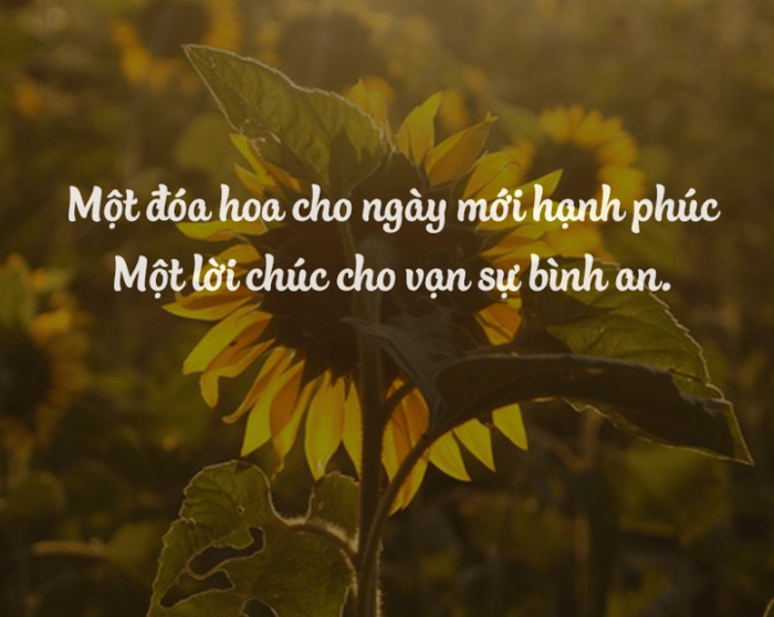 Ảnh chúc ngày mới tốt lành và đẹp mắt