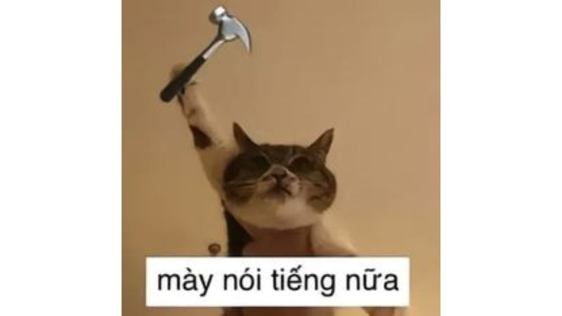 Tổng hợp 100 ảnh meme hài bựa, gây cười “bể bụng”