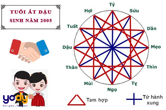 2005 bao nhiêu tuổi? Giải mã từ A - Z về người sinh năm 2005