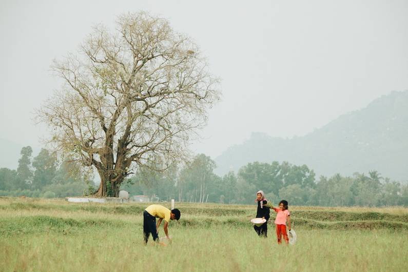 Những hình ảnh bình yên đẹp nhất