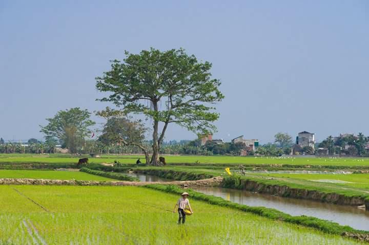 Những hình ảnh bình yên đẹp nhất