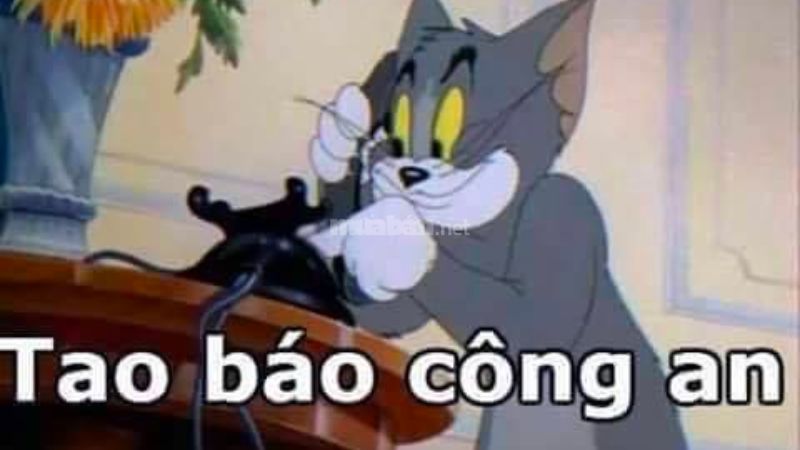 Trọn bộ 101 meme mèo hài bựa, đầy đủ sắc thái