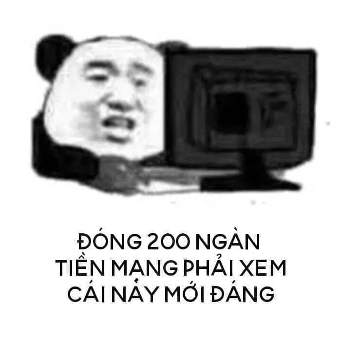 Đồng hành cùng bộ sưu tập meme gấu trúc Weibo hài bá đạo