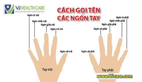 79 hình ngón phắc đẹp nhất