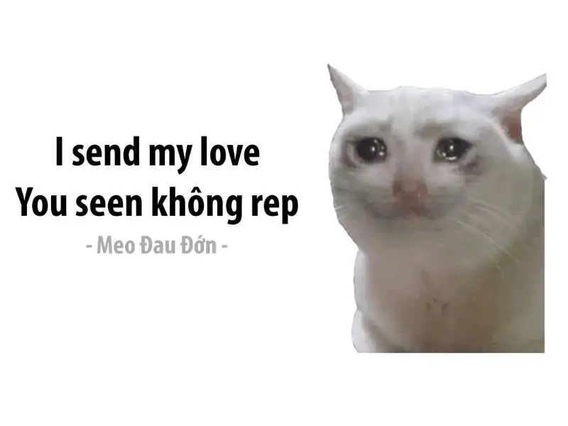 Tổng hợp 99+ meme thất tình nên lưu ngay về máy khi cần - Coolmate