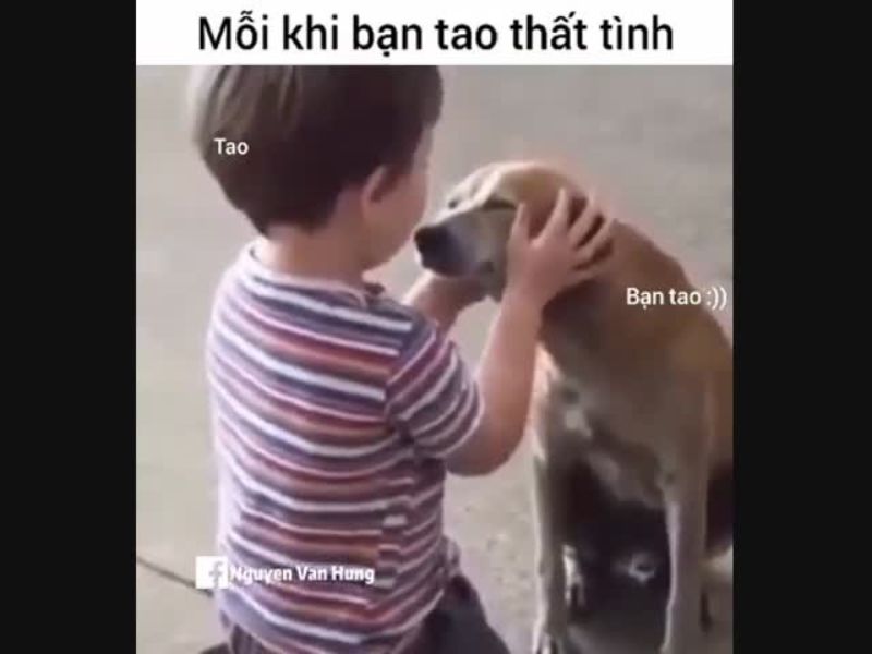 Tổng hợp 99+ meme thất tình nên lưu ngay về máy khi cần - Coolmate