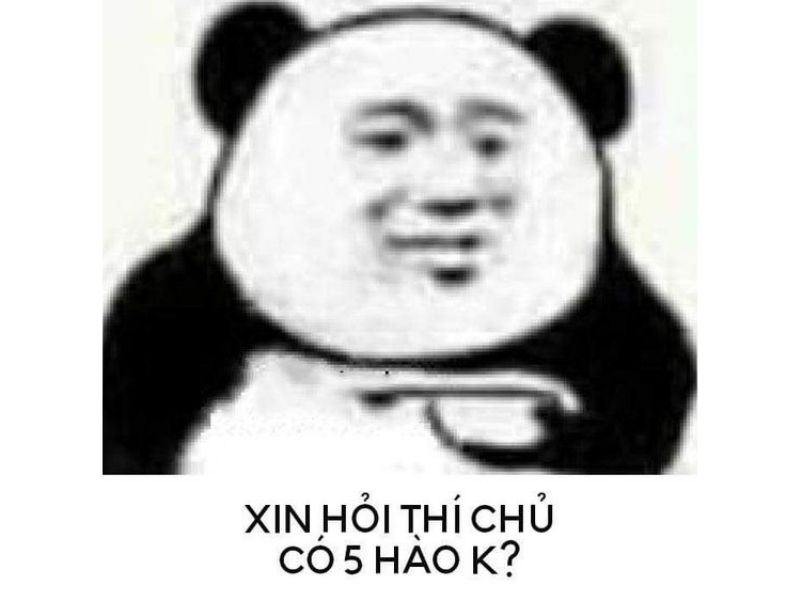 Tổng hợp 100 meme gấu trúc hài hước, hóm hỉnh và cực kỳ bá đạo