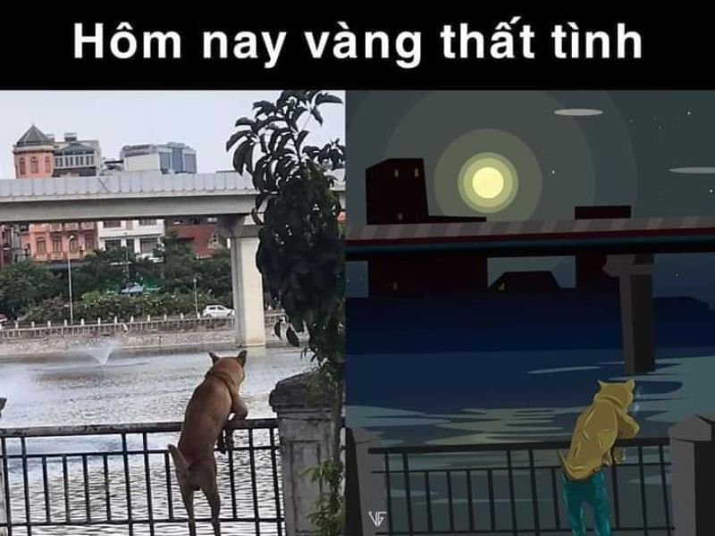 Tổng hợp 99+ meme thất tình nên lưu ngay về máy khi cần - Coolmate