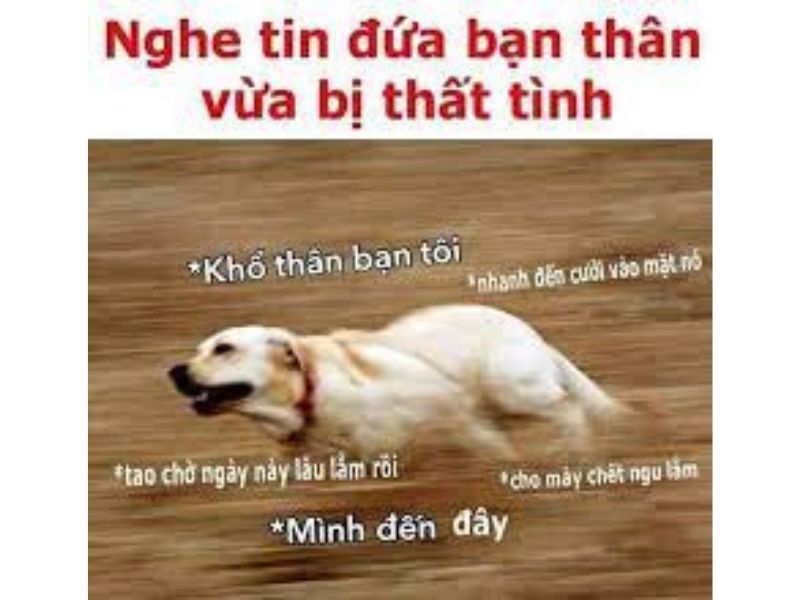 Tổng hợp 99+ meme thất tình nên lưu ngay về máy khi cần - Coolmate