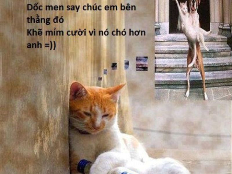 Tổng hợp 99+ meme thất tình nên lưu ngay về máy khi cần - Coolmate